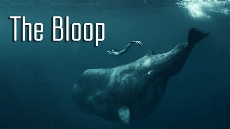 The Bloop Wallpapers - Wallpaper Cave