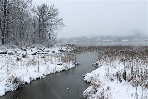 Winter Landscape with Blizzard Stock Photo - Image of blurry, background: 82137970