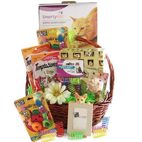 Robot Check | Cat gift basket, Pet gift basket, Cat gifts