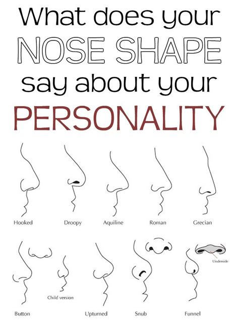 What does your nose shape say about your personality. | Billede