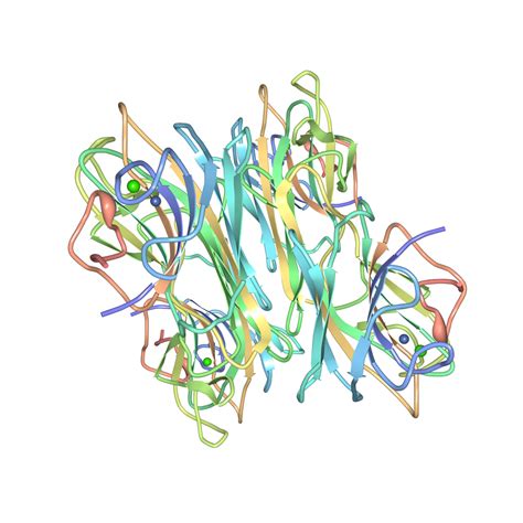 Concanavalin A lectin (Con A) | Medicago