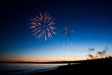 fireworks are lit up in the night sky over the water and trees on the shore