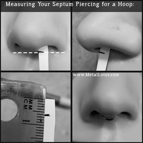 Septum Piercing Size Chart