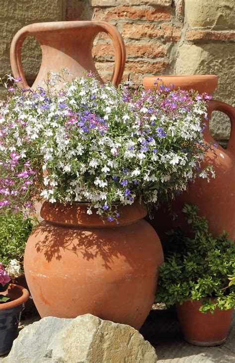 Ceramic Planters - Ideas For Gorgeous Indoor & Outdoor Planters