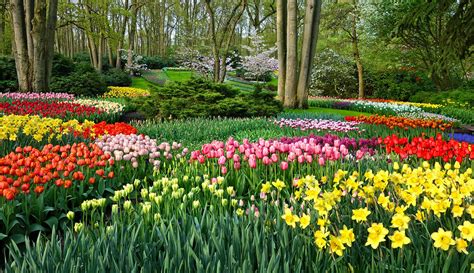 Private Day Trip & Tour to Keukenhof Gardens - Nordic Experience