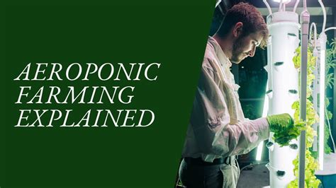 Aeroponic Farming Explained | Copiana – Hydroculture Global