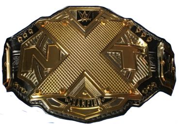 NXT Championship | Wrestlepedia Wiki | Fandom