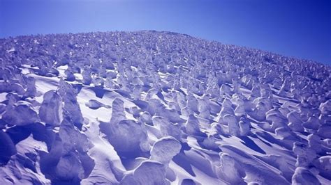 The Snow Monsters of Mount Zao | Visit Yamagata | Kyuhoshi