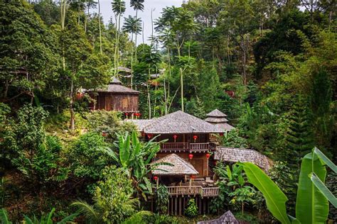 10 Amazing Rainforest Hotels In Malaysia - Treehouses, Pipe Capsules & Kampung Villas ...