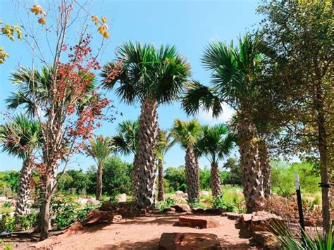 Everything You Need to Know about the New Houston Botanic Garden