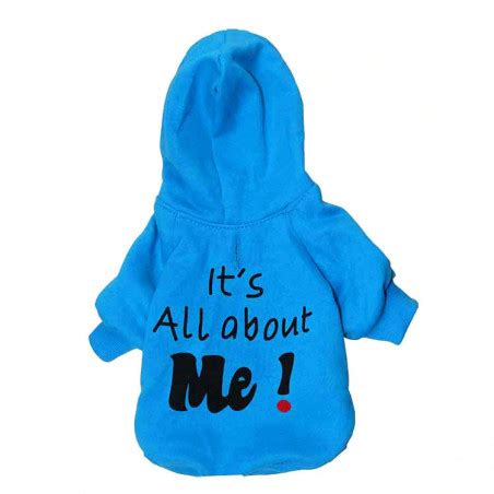 Hoodie All About me