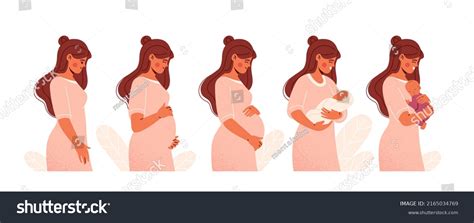 590 Pregnancy stages cartoon Images, Stock Photos & Vectors | Shutterstock