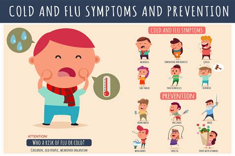 symptoms of common cold and flu - The life pile