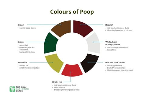 Irritable Bowel Syndrome (IBS) Stool Colour | The IBS & Gut Health Clinic