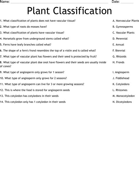 Plant Classification Worksheet Worksheeto Com | My XXX Hot Girl