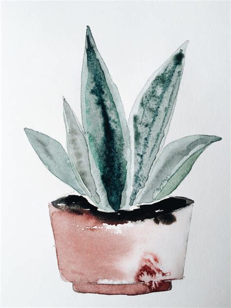 watercolor potplant | Botanical watercolor, Watercolor art, Watercolor