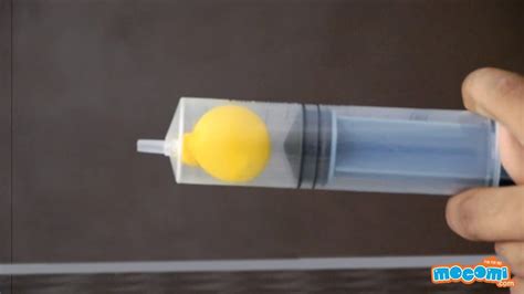 Boyle's Law Experiment - Balloon Test - Science Projects for Kids ...