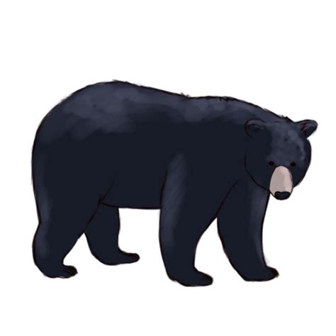 Download High Quality bear clipart realistic Transparent PNG Images ...