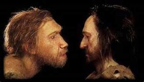 Neanderthals Encounter with Homosapiens timeline | Timetoast timelines