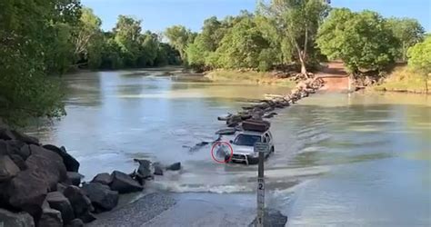 Cahills Crossing: Terrifying moment a driver runs over a CROCODILE at a notorious river crossing ...