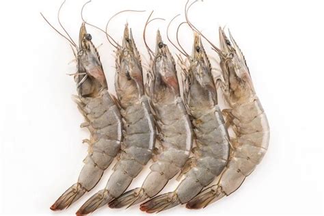 White (Vannamei) Shrimp Head On, 1kg For Sale Philippines | JustShop PH