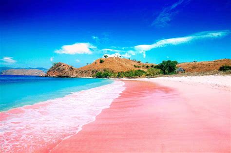 Best Pink Sand Beaches in the World - HiideeMedia