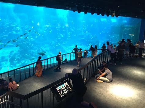 Tank Goals (SEA Aquarium, Singapore) : Aquariums