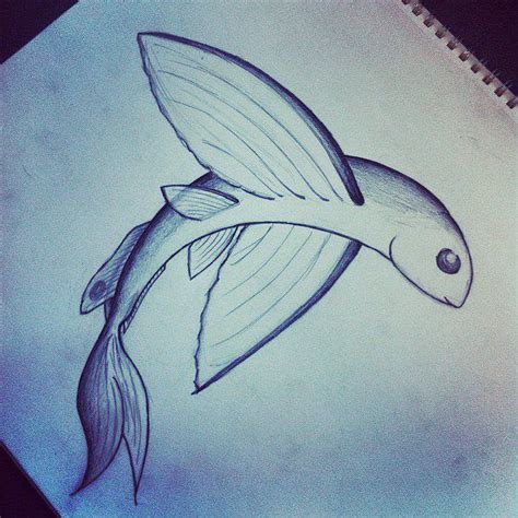 My flying fish drawing | Fish | Pinterest | Drawing ideas, Drawings and ...