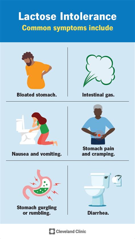 What Does Lactose Intolerance Poop Look Like - AnimalsPick