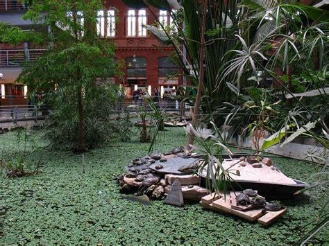 Botanical Garden Inside Atocha Train Station, Madrid | Amusing Planet