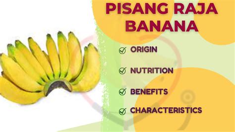 Pisang Raja- Origin, Characteristics, Uses, Nutrition, & Amazing ...