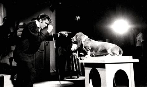 Holden Luntz Gallery - Alfred Wertheimer's Elvis Presley with Hound Dog