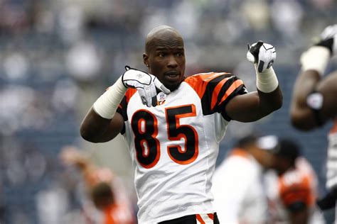 Former Cincinnati Bengals Wide Receiver Chad Johnson on His Bengals ...