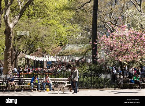 The Shake Shack in Madison Square Park, NYC Stock Photo - Alamy