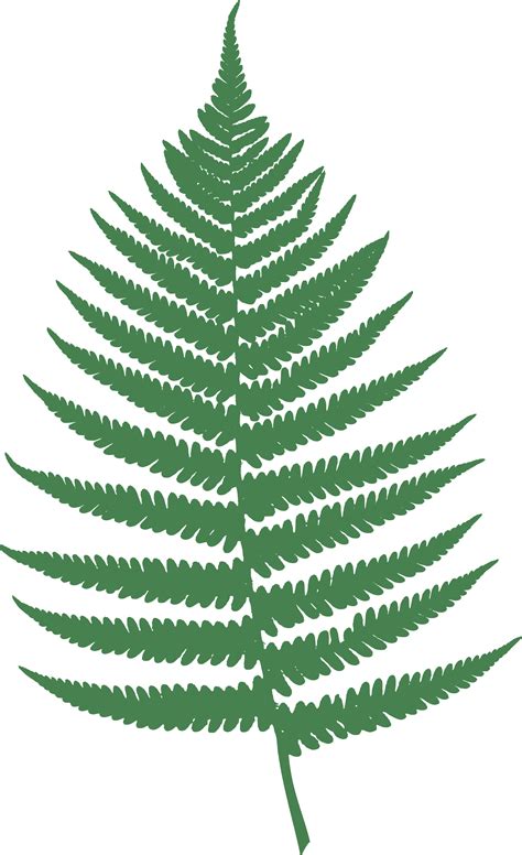 Green Fern Leaf Clip Art Image - ClipSafari