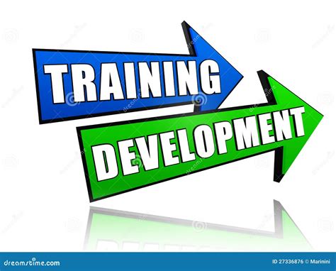 Training Development In Arrows Stock Photo - Image: 27336876