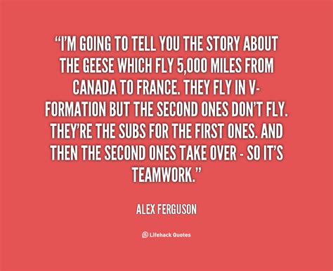 Alex Ferguson Quotes. QuotesGram