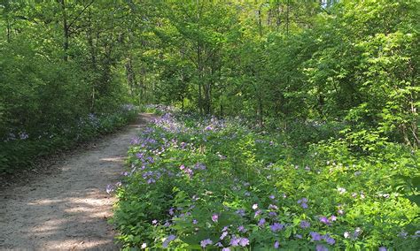 Woman Visits 55 DuPage Forest Preserves in One Year