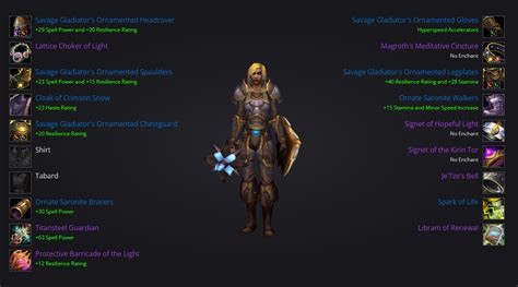 Holy paladin pvp gear wotlk