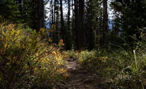 Frosty Mountain Loop Photo | 2019 Hiking Photo Contest | Vancouver Trails