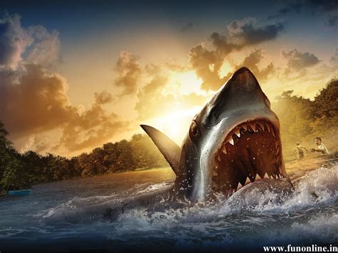 Shark Wallpapers, Download Free Deadly White Sharks HD Wallpaper | Animals | Pinterest | Shark ...