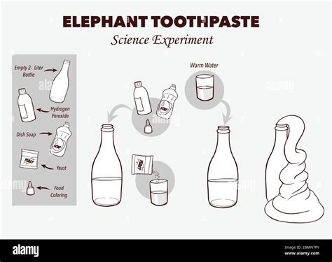 Elephant Toothpaste Experiment - Nauger