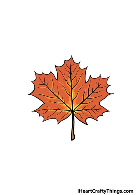 Maple Leaf Drawing - How To Draw A Maple Leaf Step By Step (2023)