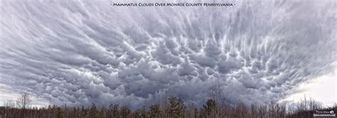 Free photo: Mammatus Clouds - Cloud, Cloudy, Mammatus - Free Download ...