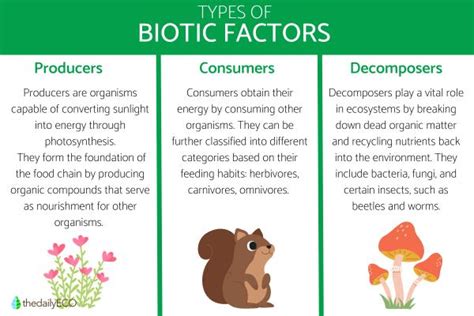 Biotic Factors - Definition, Characteristics, Classification and Examples