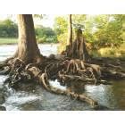 Wimberley, TX : The Blanco river in Wimberley photo, picture, image ...