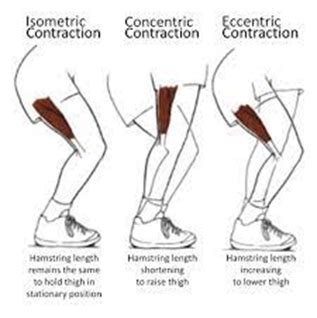 Injury Prevention in Young Elite Footballers | Part 2: hamstring and quadriceps (H/Q ratio)