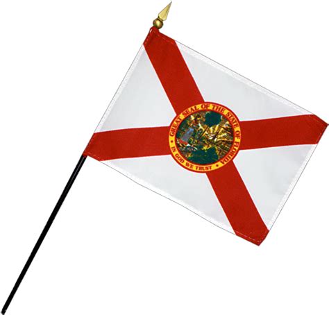 Florida Flag 2024 - Marna Sharity