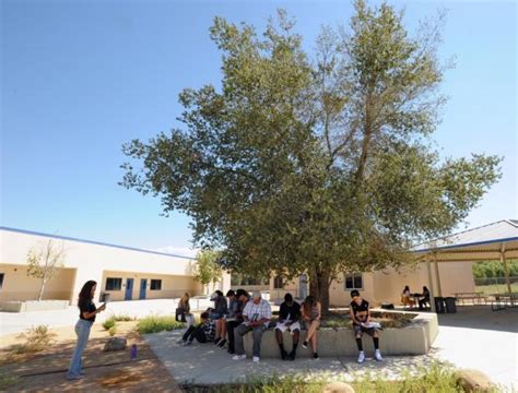 Why Nuview Bridge Early College High School in Nuevo was named one of the nation’s best – Press ...