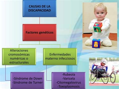 Discapacidad fisica | PPT